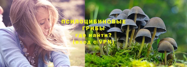 марки nbome Белокуриха